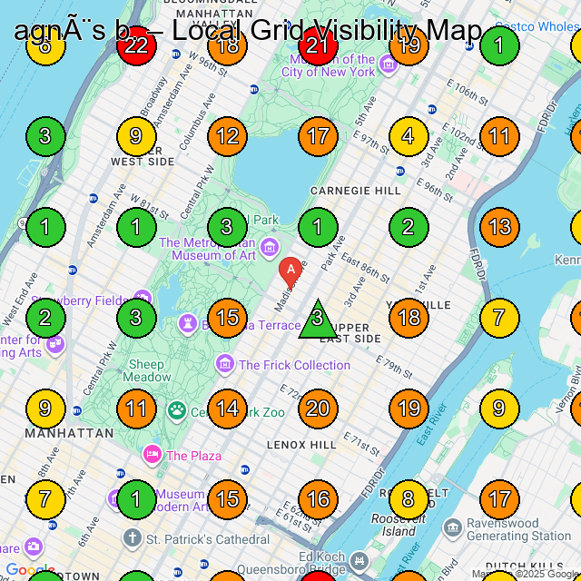 agnès b. Clothing Store GeoGrid ranking map for New York NY